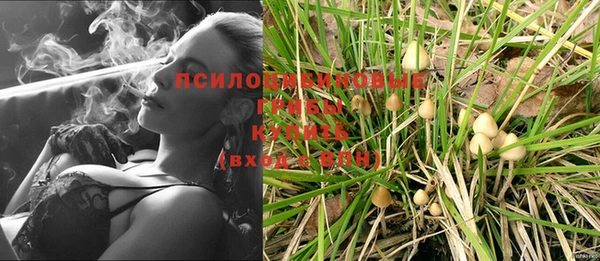 сатива Алексеевка