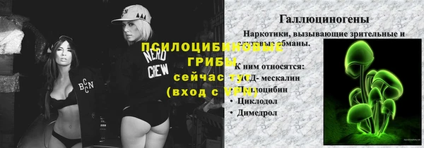 сатива Алексин