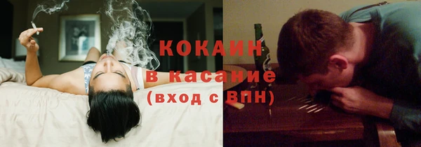 соль ск Алзамай