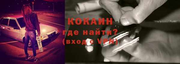 сатива Алексеевка