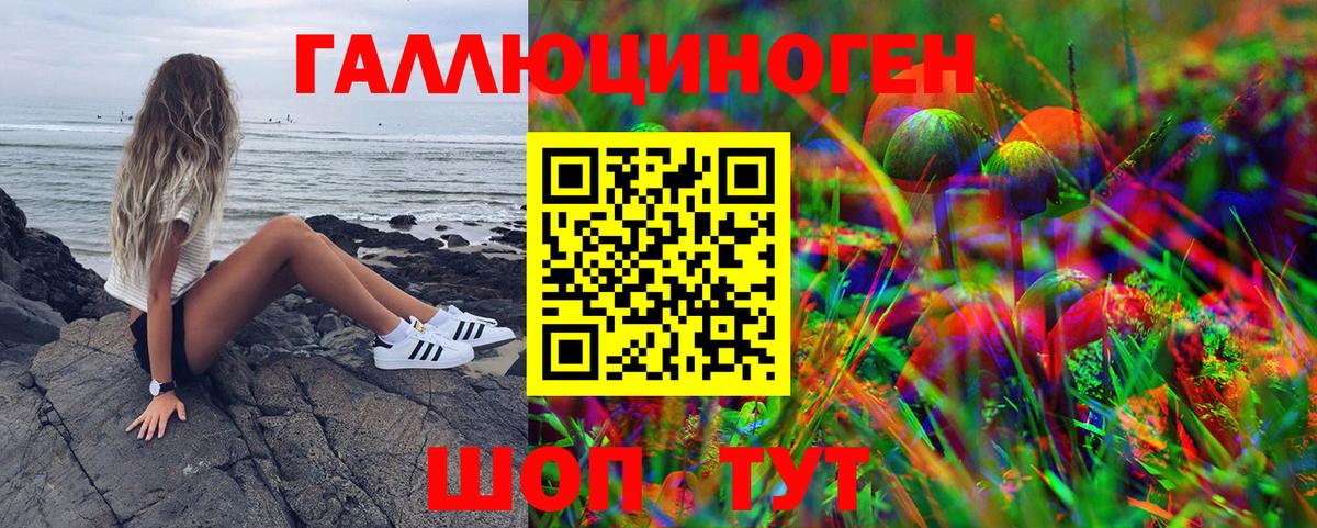 Псилоцибиновые грибы мицелий Всеволожск